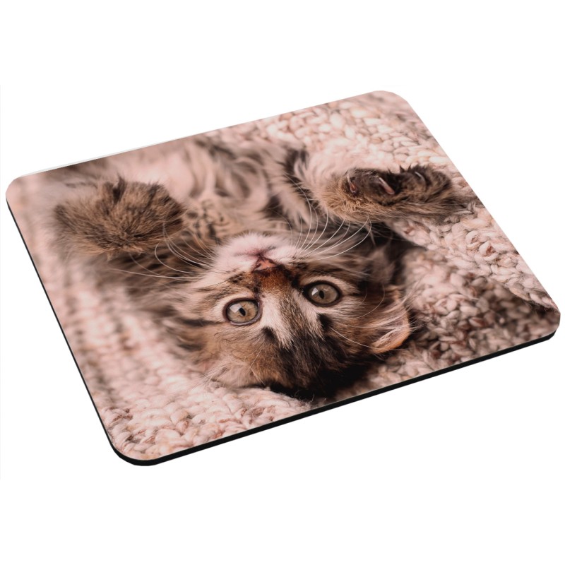 Podkładka pod mysz- młody Maine Coon