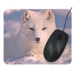 Podkładka pod mysz- biały lis polarny