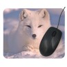 Podkładka pod mysz- biały lis polarny